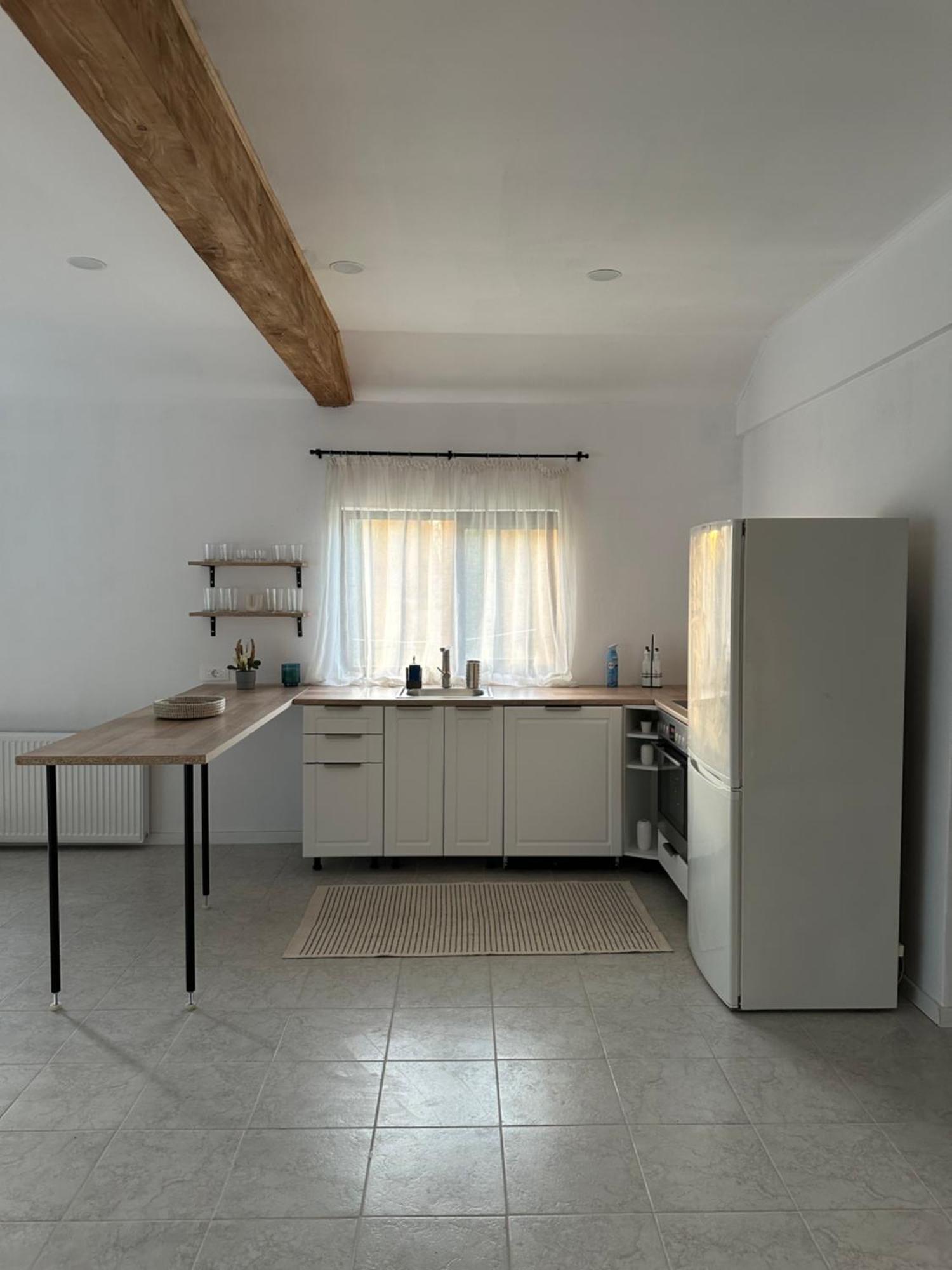 Cottage Bytheriver Arpaşu de Sus Eksteriør billede