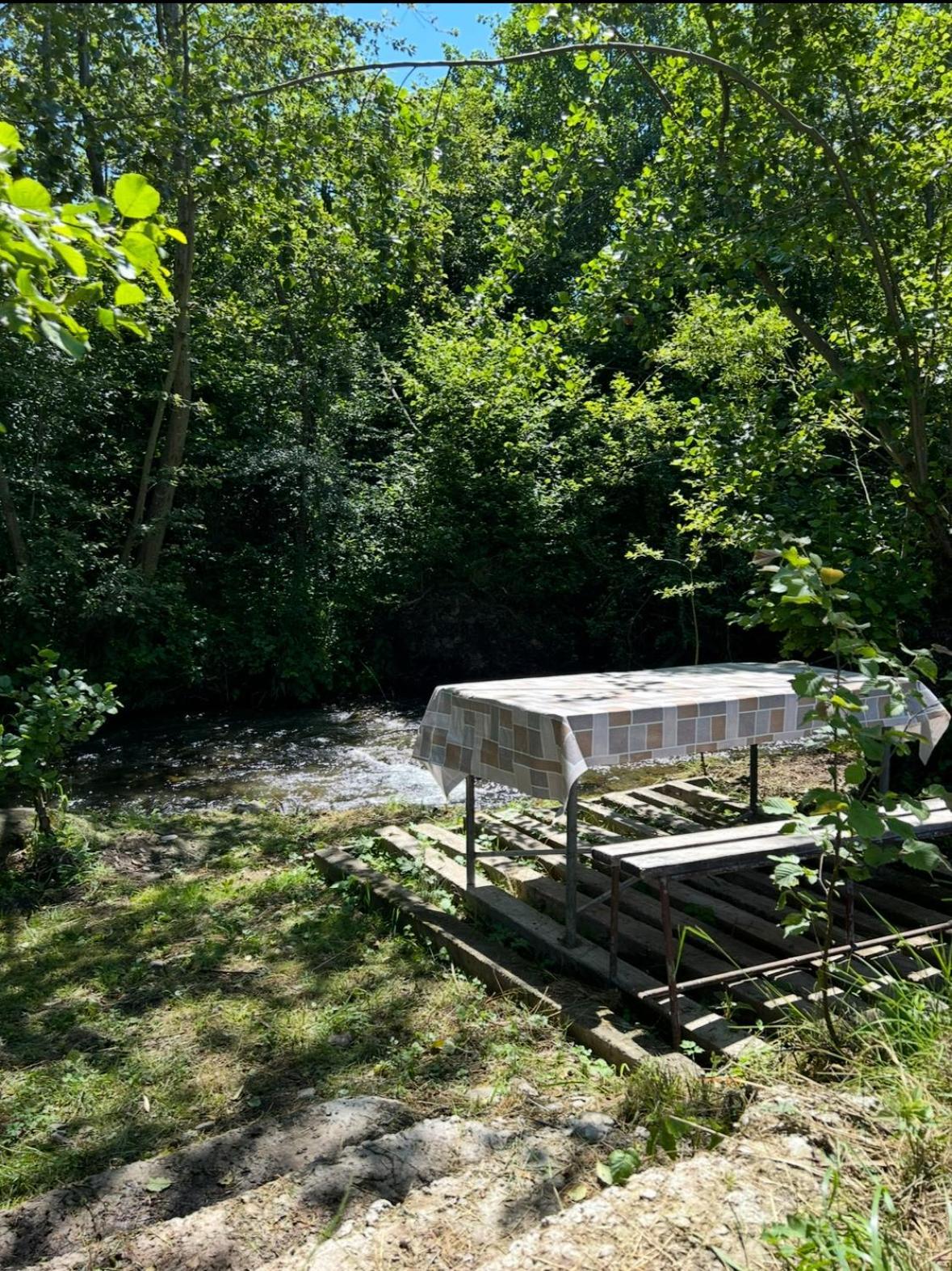 Cottage Bytheriver Arpaşu de Sus Eksteriør billede